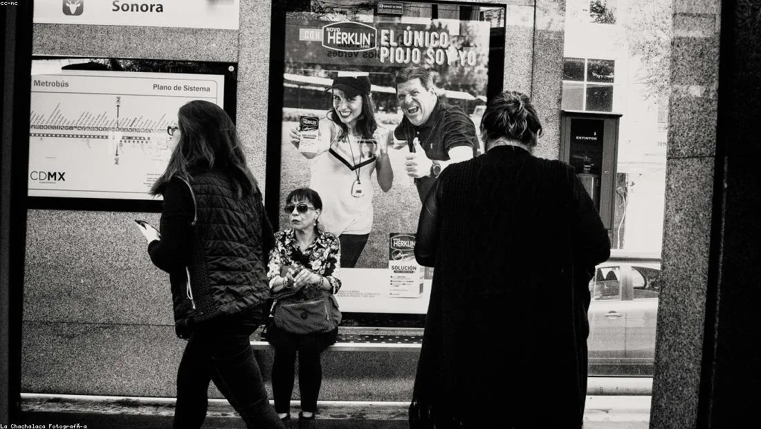 kene yapışması gelişmeleri için haber içi fotoğraf